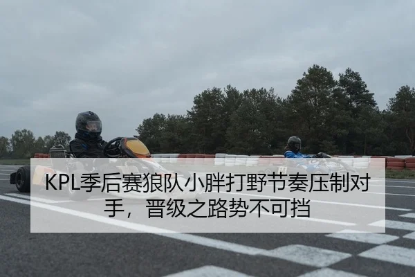 KPL季后赛狼队小胖打野节奏压制对手，晋级之路势不可挡